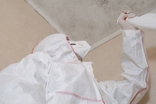 Best Commercial Mold Remediation in Rutherfordton, NC